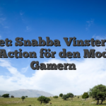 55Bet: Snabba Vinster och Live Action för den Moderna Gamern
