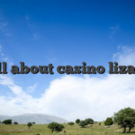 All about casino lizaro