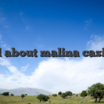 All about malina casino