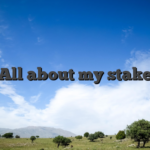 All about my stake