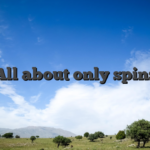 All about only spins