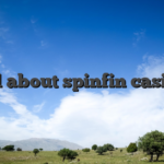 All about spinfin casino