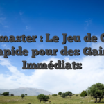 Aviamaster : Le Jeu de Crash Rapide pour des Gains Immédiats