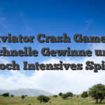 Aviator Crash Game – Schnelle Gewinne und Hoch‑Intensives Spiel