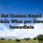 BDM Bet Casino: Rapid Slots & Mobile Wins per Emozioni Immediate