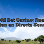 BDM Bet Casino: Snelle Winsten en Directe Sensaties