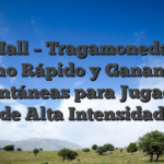 Bet Hall – Tragamonedas de Ritmo Rápido y Ganancias Instantáneas para Jugadores de Alta Intensidad