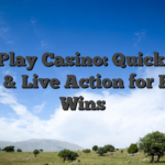 BetPlay Casino: Quick‑Hit Slots & Live Action for Rapid Wins
