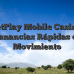 BetPlay Mobile Casino: Ganancias Rápidas en Movimiento