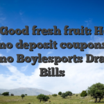Blox Good fresh fruit: How to get no deposit coupons for casino Boylesports Dragon Bills