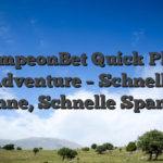 CampeonBet Quick‑Play Adventure – Schnelle Gewinne, Schnelle Spannung