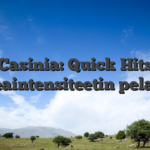 Casinia: Quick Hits korkeaintensiteetin pelaajille