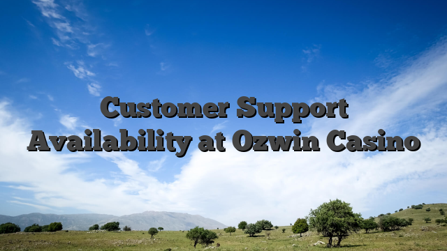 Customer Support Availability at Ozwin Casino