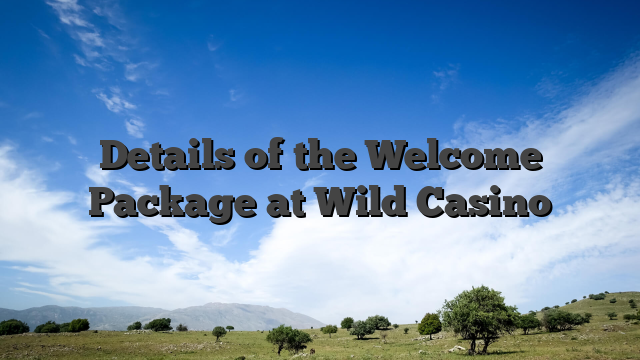 Details of the Welcome Package at Wild Casino
