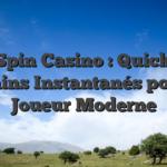 DivaSpin Casino : Quick Play & Gains Instantanés pour le Joueur Moderne