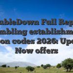 DoubleDown Full Report Gambling establishment Coupon codes 2026: Updated Now offers
