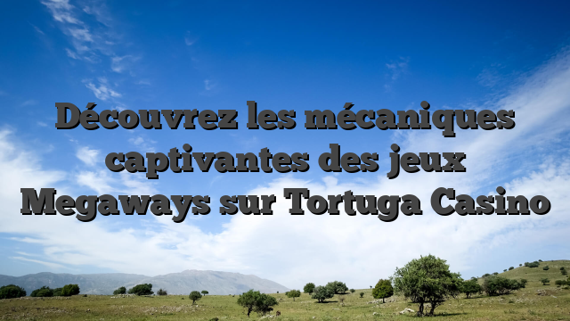 Découvrez les mécaniques captivantes des jeux Megaways sur Tortuga Casino
