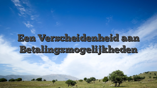 Een Verscheidenheid aan Betalingsmogelijkheden
