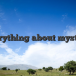 Everything about mystake