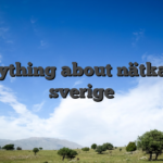 Everything about nätkasino sverige