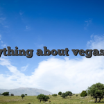 Everything about vegas hero
