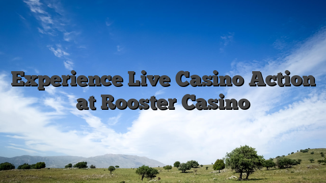 Experience Live Casino Action at Rooster Casino