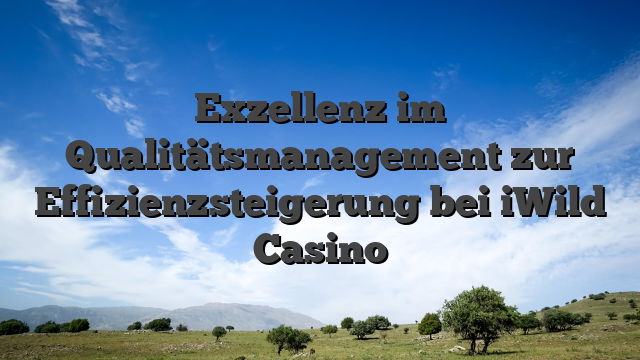 Exzellenz im Qualitätsmanagement zur Effizienzsteigerung bei iWild Casino