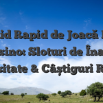 Ghid Rapid de Joacă NV Casino: Sloturi de Înaltă Intensitate & Câștiguri Rapide