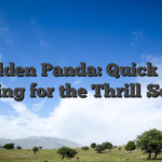 Golden Panda: Quick‑Hit Gaming for the Thrill‑Seeker