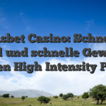 Gunsbet Casino: Schnelles Spiel und schnelle Gewinne für den High‑Intensity‑Player