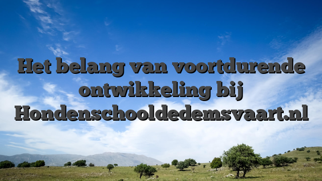 Het belang van voortdurende ontwikkeling bij Hondenschooldedemsvaart.nl