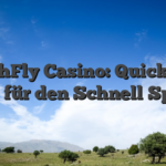 HighFly Casino: Quick‑Hit Slots für den Schnell‑Spieler