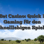 IceBet Casino: Quick‑Fire Gaming für den schnelllebigen Spieler