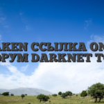 KRAKEN ССЫЛКА ONION ФОРУМ DARKNET TOR