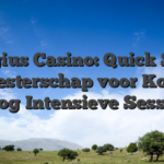 Magius Casino: Quick Spin Meesterschap voor Korte, Hoog‑Intensieve Sessies