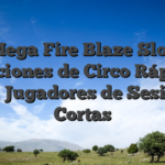 Mega Fire Blaze Slot: Emociones de Circo Rápidas para Jugadores de Sesiones Cortas
