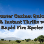 Mr Punter Casino: Quick‑Hit Slots & Instant Thrills voor de Rapid‑Fire Speler