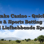 MyStake Casino – Quick‑Fire Slots & Sports Betting voor Snel‑Liefhebbende Spelers