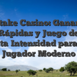 MyStake Casino: Ganancias Rápidas y Juego de Alta‑Intensidad para el Jugador Moderno