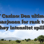 NV Casino: Den ultimate destinasjonen for rask‑tempo, høy‑intensitet spill