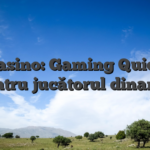 NV Casino: Gaming Quick‑Hit pentru jucătorul dinamic