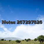 Notes 267297826