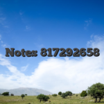 Notes 817292658