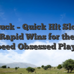 OnLuck – Quick‑Hit Slots & Rapid Wins for the Speed‑Obsessed Player