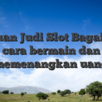 Panduan Judi Slot Bagaimana cara bermain dan memenangkan uang
