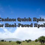 PinoCasino: Quick Spin Slots voor Snel-Paced Spelers
