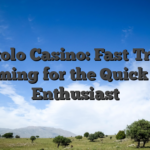 Pistolo Casino: Fast‑Track Gaming for the Quick‑Hit Enthusiast