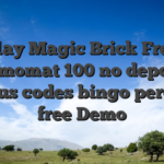 Play Magic Brick Free Gamomat 100 no deposit bonus codes bingo percent free Demo