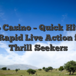 Playio Casino – Quick‑Hit Slots & Rapid Live Action for Thrill‑Seekers