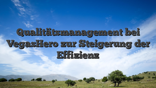 Qualitätsmanagement bei VegasHero zur Steigerung der Effizienz